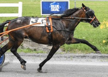 Senior Citizens frolic at Bangor Raceway