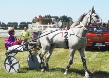 Williamson takes five to Addington