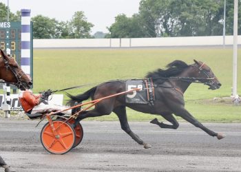 French Wine heading for $350,000 Zweig