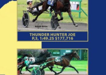 2023 Goshen catalogues published online