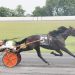 Pennsylvania Sire Stakes sees fast trotters