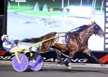 Burke high on Meadowlands Pace hopeful Gung Ho