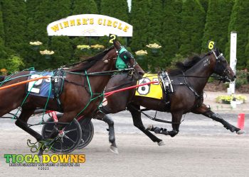 Five wins for Merton-Harmon combo at Tioga