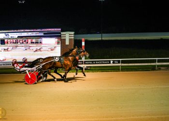 He’zzz A Wise Sky triumphs in Dan Patch FFA at Running Aces