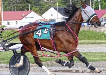 Fred Nichols Memorial field set at Bangor