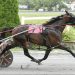 Heath Campbell wins five at Bangor Raceway