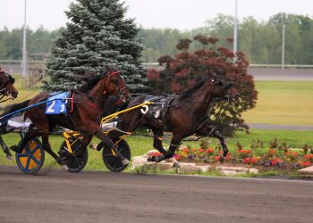 All the OSS action from Canada Day weekend