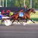 Trio of Ontario sired colts to compete in Hambletonian 3 Trio of Ontario sired colts to compete in Hambletonian