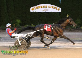 Taggart drives four winners at Tioga Downs