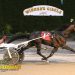 Taggart drives four winners at Tioga Downs