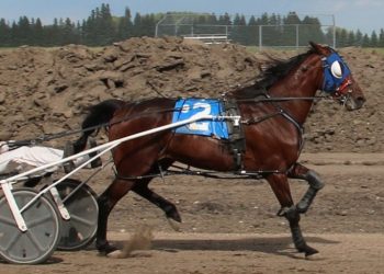 Week two at Miami Fair preview