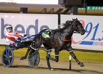 Lazarus gelding impressive winning 2YO Final