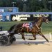 Last Bet prevails in Northville Downs feature