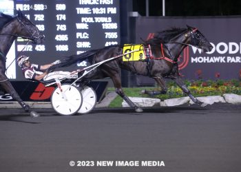 Logan Park beats Fashion Frenzie in $42,000 FFA