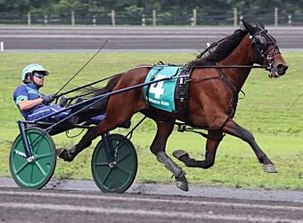 Noel Daley sends out four 2-year-old winners