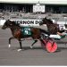 Party Queen grinds out feature pace win 2 Party Queen grinds out feature pace win