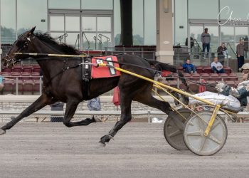 Railee Something the one to watch in Oaks