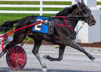 Hambletonian and Oaks elim lineups complete