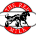 $80,000 Kentucky Sire Stakes at Red Mile 2