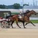Rose Run Xtra, Dancin Dragon win $20,000 features at MGM Northfield Park 2 Rose Run Xtra, Dancin Dragon win $20,000 features at MGM Northfield Park