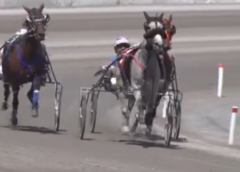 Coast-to-coast win for Grey Sea