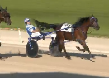 Two-year-olds break maidens at Grand River