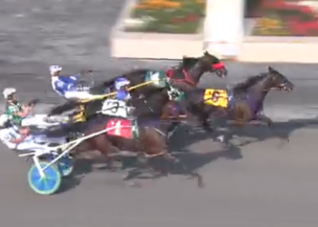 Shark Week tested, but dominance continues