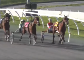 Lastkickathecan fights past field for Prospect Series victory