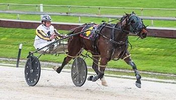 Victory for Sir Monty at start 50