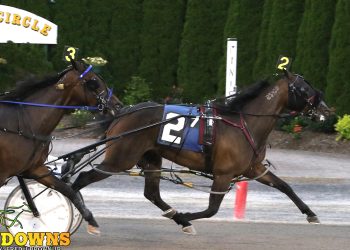 So Diva brushes in backstretch to victory