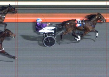 Local filly impressive in Queensland Oaks win