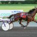 $300,000 Carl Milstein Memorial draws full field of nine 2 $300,000 Carl Milstein Memorial draws full field of nine