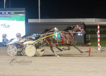 Waitforever N finds her way back to winner’s circle