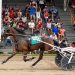 Mares vs. males in Cal Expo feature 1 Minnesota racing tradition July 4 at Cannon Valley Fair