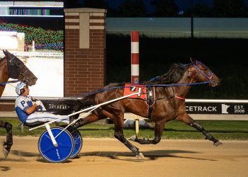 Winnerup ties all-age Aces record