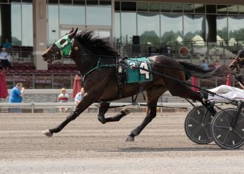 Pop-Up Series Finals held at The Meadows