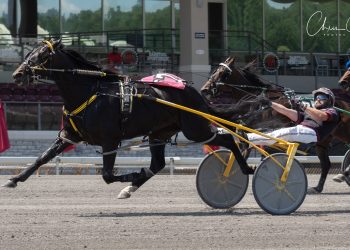 Two streaks extended to four at The Meadows