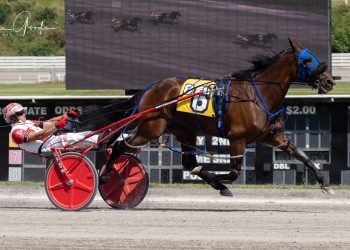 Track record falls at The Meadows