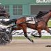Beaueastel remains perfect in Buckeye Stallion Series