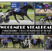 Recordholder Woodmere Stealdeal returns to Truro