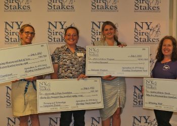 $440,000 to promote Standardbreds in New York