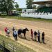 Missouri-owned pacers and trotters make their mark in Kahoka