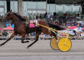 Arden Downs action recap