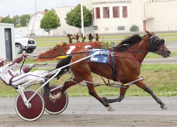 Québec-Bred Series final on Sunday