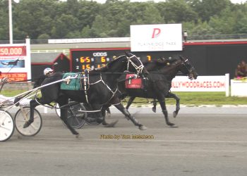 Westbeach drops and pops at Plainridge