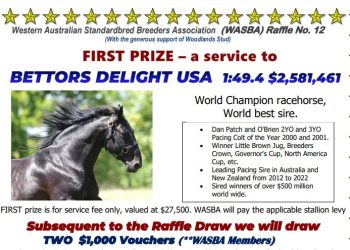 Win a service to champion stallion Bettor’s Delight
