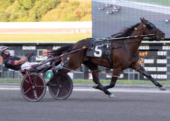 Wrenn notches six winners including track record