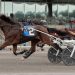 Arden Downs, new track record at The Meadows