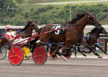 Seven wins for Palone including Pop-Up Series