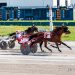 Tobern produces track record to take $102,500 NYSS dash